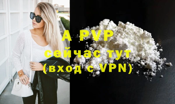 сатива Беломорск